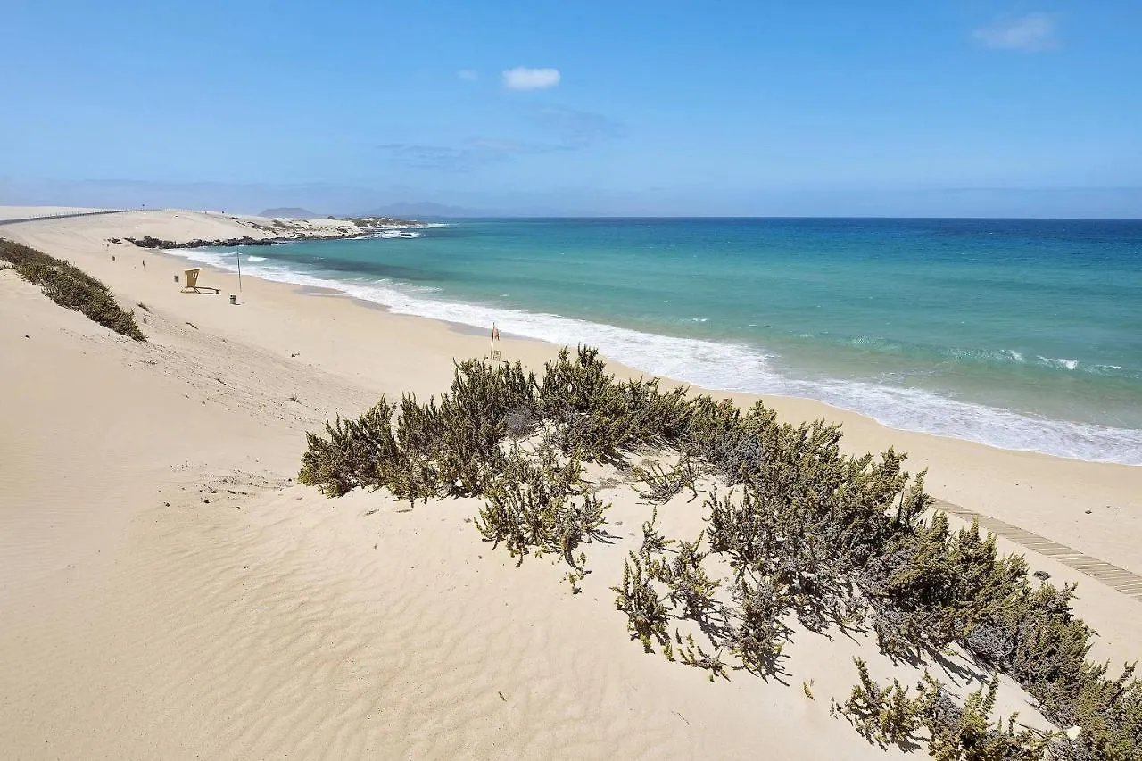 Apartamento Betty F Puerto del Rosario  Spanien